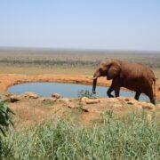 tsavo east 1