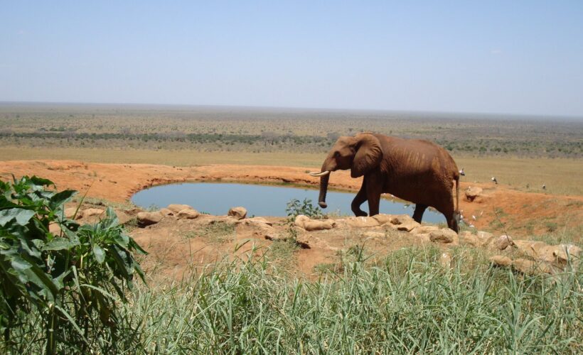 tsavo east 1